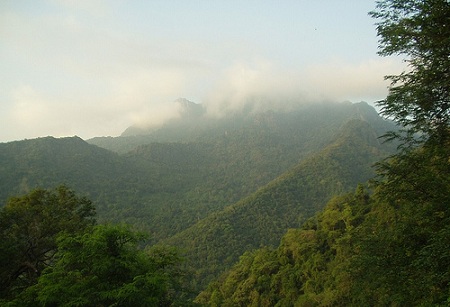 IMG-Masinagudi-hills
